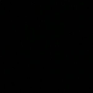 Meet your Posher, Anne-elyse